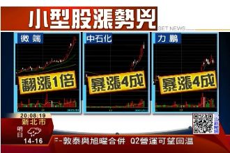 主力認養小型股　專家：當心養套殺