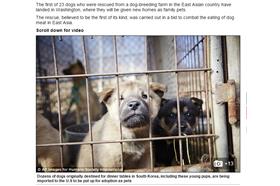 圖／翻攝自《Daily Mail Online》