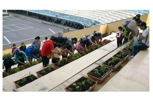 郝任內也有菜園！天空農場認養率低喊卡