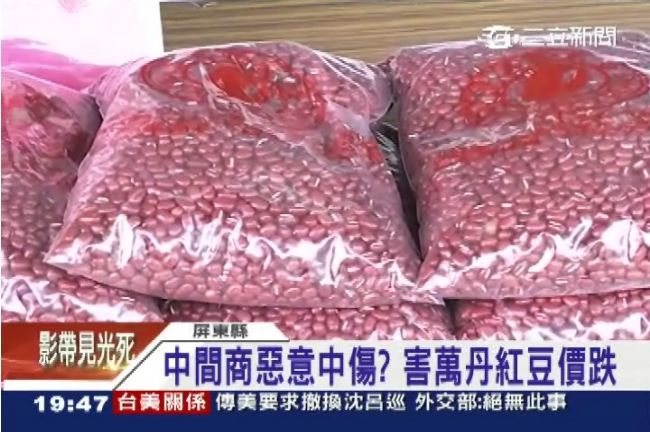 屏紅豆價跌　謠傳農藥殘害慘農民