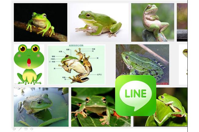 好友名單變圖鑑　LINE吹起青蛙風