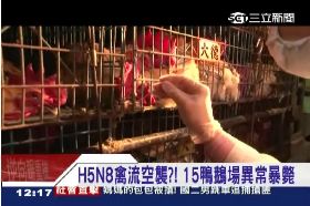 環南查H5N81200