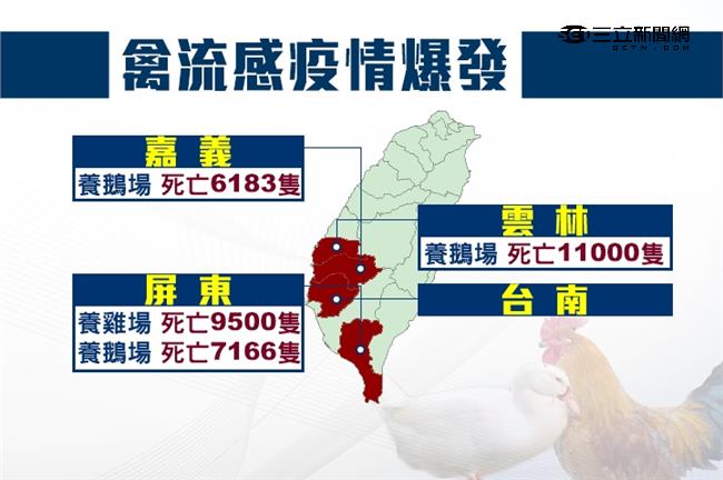 禽流感拉警報　14萬隻鵝、鴨恐受影響