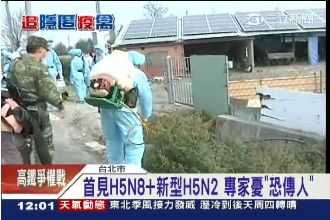 禽流感恐傳人？3人有流感症狀遭追蹤