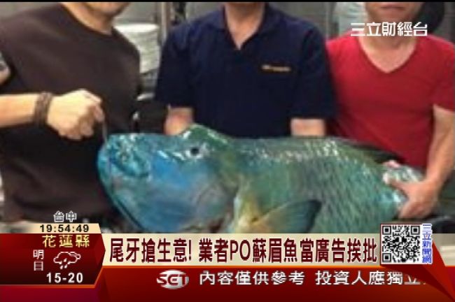 為了攬客？餐廳拿保育蘇眉魚當廣告