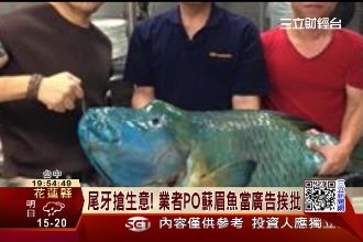為了攬客？餐廳拿保育蘇眉魚當廣告