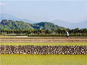 取自／農委會安全農業入口網FB