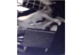 咖啡廳做愛_都市報