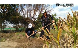 沈文程遊山玩水　主持篡位草地狀元？