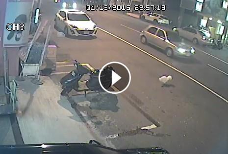 直擊／遛狗不牽繩　大街被撞慘死掙扎