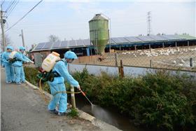 雲林禽流感防疫（取自縣長李進勇臉書）