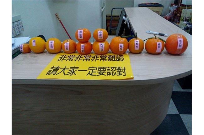 真的分不出來啊！橘子品種竟然這麼多
