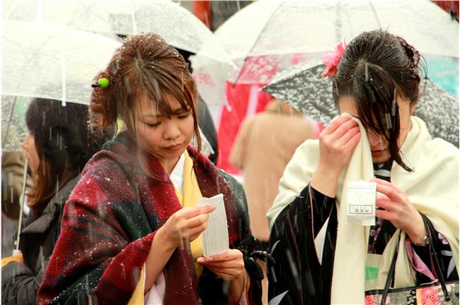日本新年有三寶：紅白、初詣、搶福袋