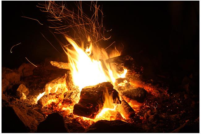 必學！野外求生再也不用鑽木取火了