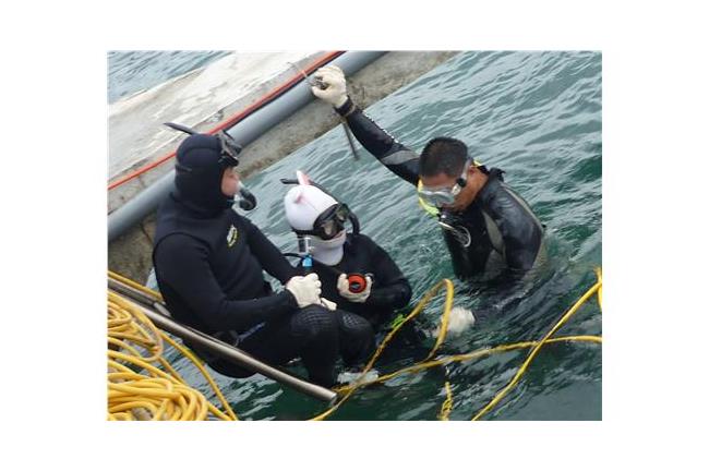 為了尋找海中珍寶　鄭志偉險二次溺水