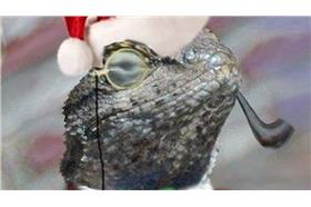 蜥蜴部隊 (TWITTER)