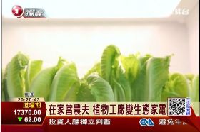 瘋在家種菜1900