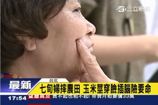 婦農跌倒　遭玉米莖穿臉插腦險要命