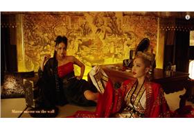 蔡依林,安室奈美惠(YouTube)