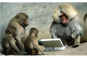 猴子,電腦(flickr,Chris Lott-fncll)