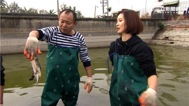 鄭志偉不畏「吃鱉」池中遭狠咬