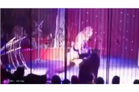 馬戲團獅子攻擊馴獸獅-YouTube-https://www.youtube.com/watch?v=_58TEegeU4E