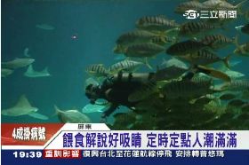 海大洋池19T18 1113