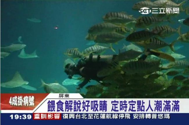 探索水中世界　海生館餵食秀大受歡迎