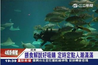 探索水中世界　海生館餵食秀大受歡迎