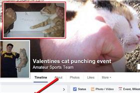 虐貓揍貓-鏡報翻攝FB