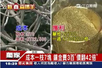 獨／枯枝變黃金！「開喜婆婆」也瘋搶