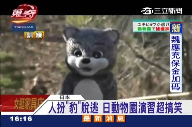 超搞笑！日動物園演習　人扮演豹脫逃