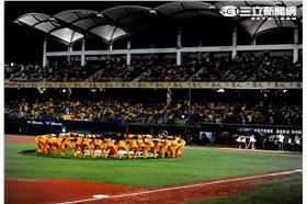 中信兄弟（圖／王怡翔攝）