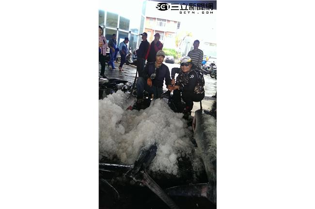 傳說雲豹現蹤　沈老爺獵豹能否成功？