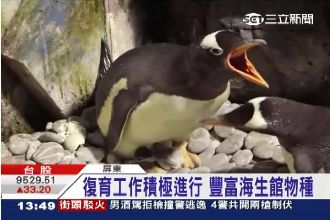 屏東海生館不一樣！超人氣動物看個夠
