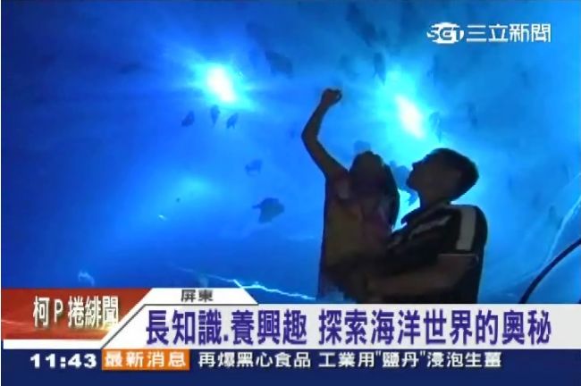 海生館15歲！長知識、養興趣人氣旺