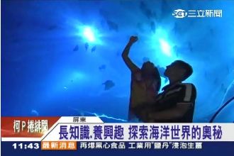 海生館15歲！長知識、養興趣人氣旺