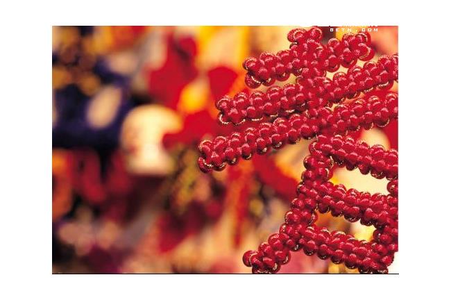 過年就要啪啪啪　理由竟然是...？