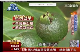 食尚玩家／三立財經台CH88