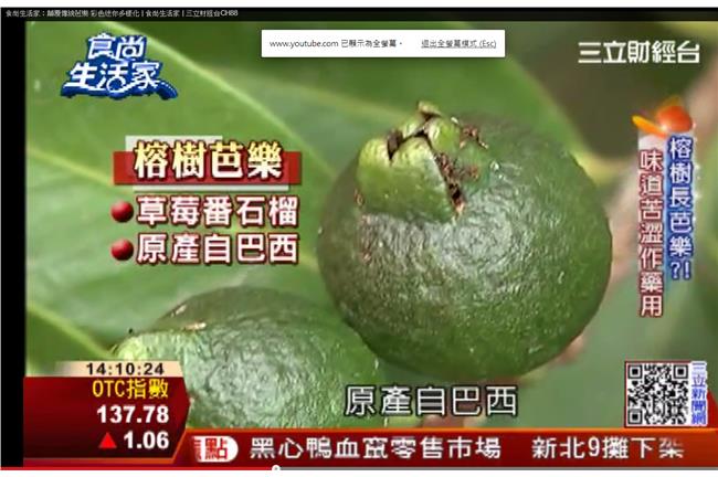 顛覆傳統印象　彩色芭樂迷你多樣化！