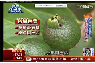 顛覆傳統印象　彩色芭樂迷你多樣化！