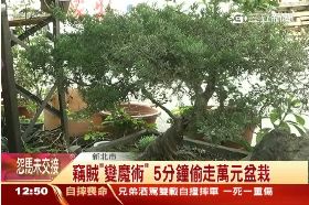 F變魔術偷樹1200