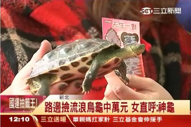 撿到烏龜不「槓龜」　女刮刮樂中萬元
