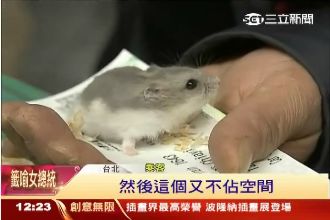 乘客帶寵物搭車被PO網　高鐵卻說…