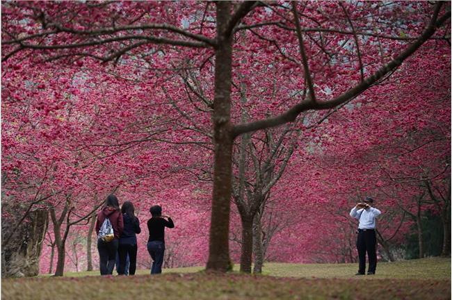 出遊把握今天！明起鋒面報到全台有雨