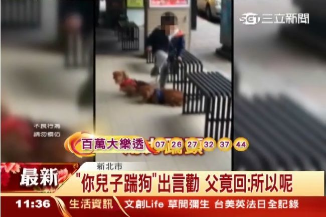 男童踹狗民眾相勸　父竟回：所以呢？