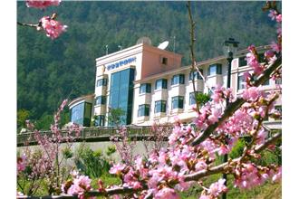 四星級飯店瞞疫情　217人染諾羅病毒