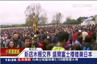 連假出遊潮！賞櫻、遊樂園擠滿人