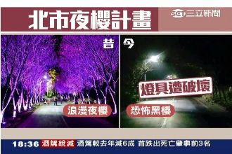 夜櫻計畫破功　百盞燈具壞光未修理