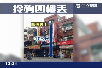 吉娃娃遭丟墜樓　吐血馬路、路人尖叫